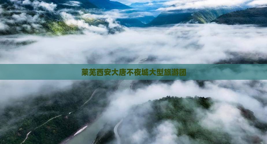 莱芜去西安大唐不夜城大型旅游团