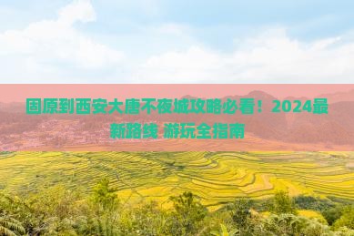 固原到西安大唐不夜城攻略