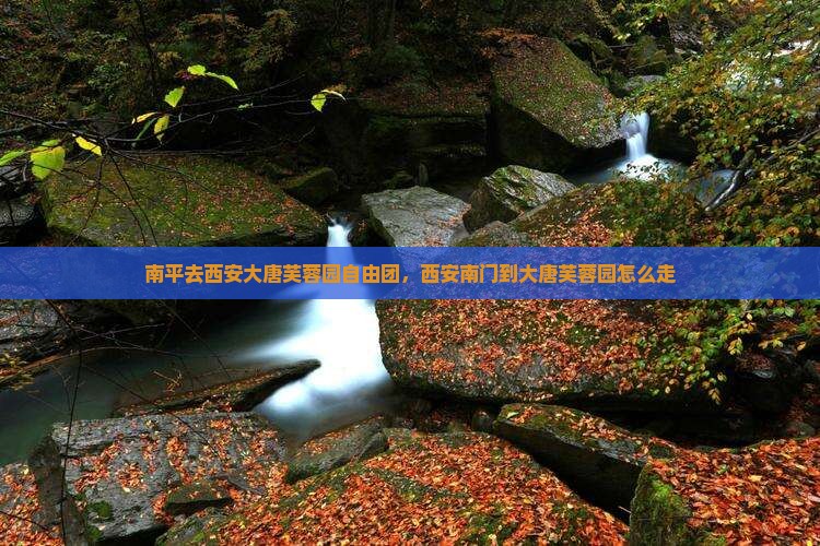 南平去西安大唐芙蓉园自由团