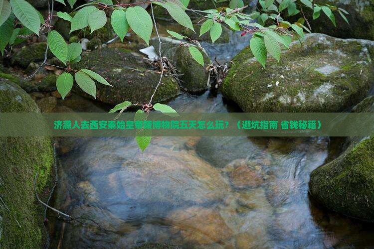 济源去西安秦始皇帝陵博物院五日游