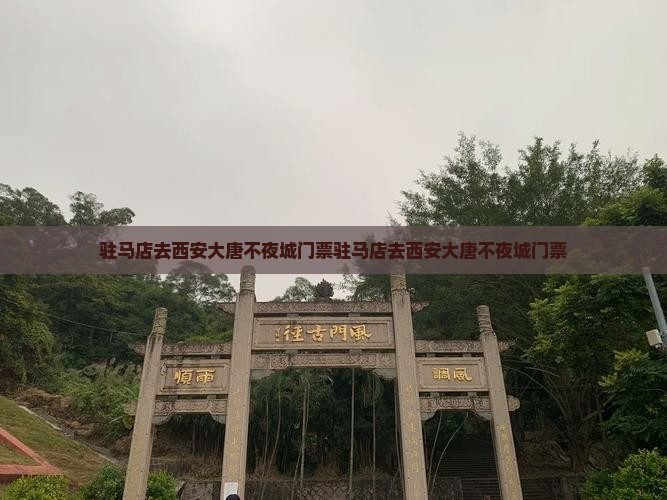 驻马店去西安大唐不夜城门票