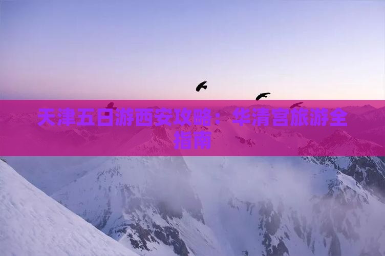 天津到西安华清宫五日游