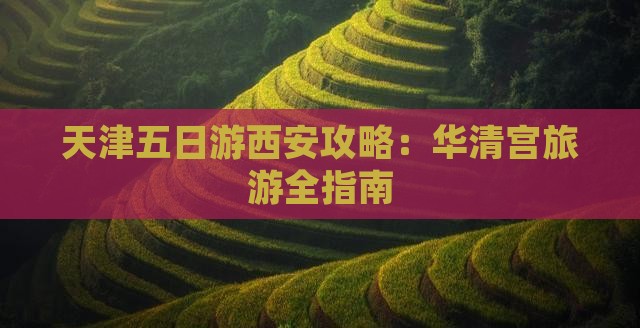 天津到西安华清宫五日游