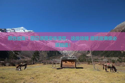 邢台到西安华清宫四日游