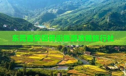 东莞到西安回民街旅行社