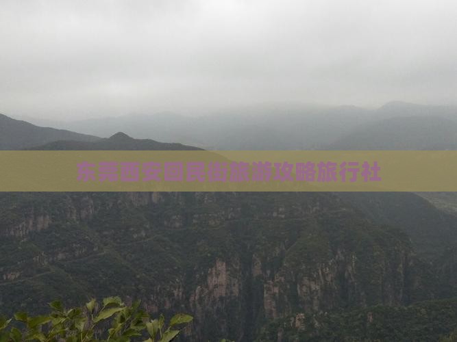 东莞到西安回民街旅行社