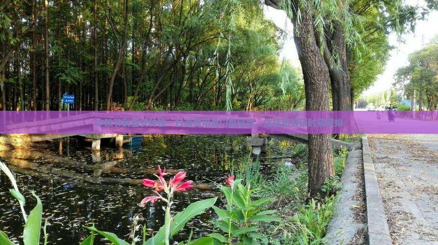 中秋节到西安钟楼一日游