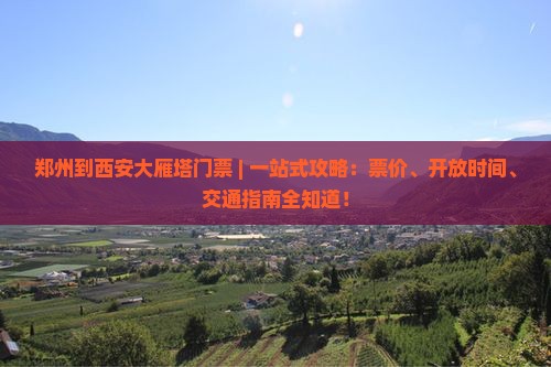 郑州到西安大雁塔门票