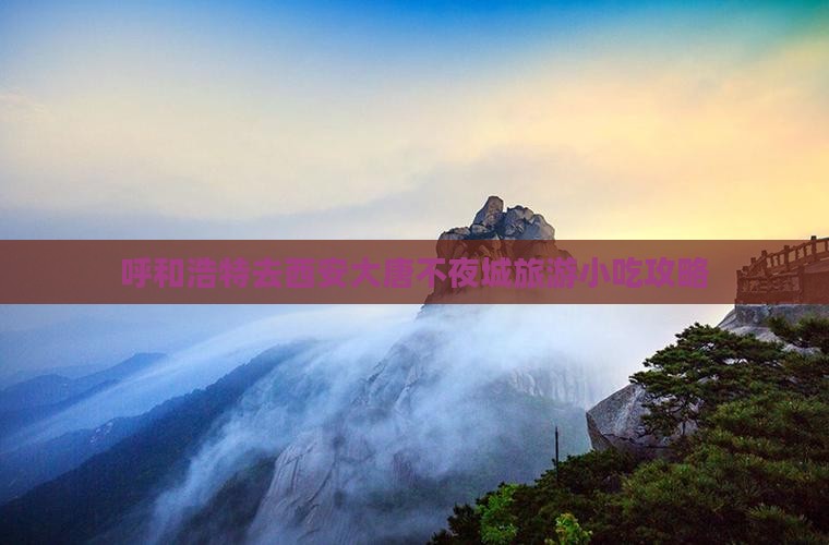 呼和浩特去西安大唐不夜城旅游小吃