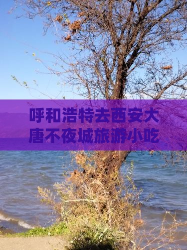 呼和浩特去西安大唐不夜城旅游小吃