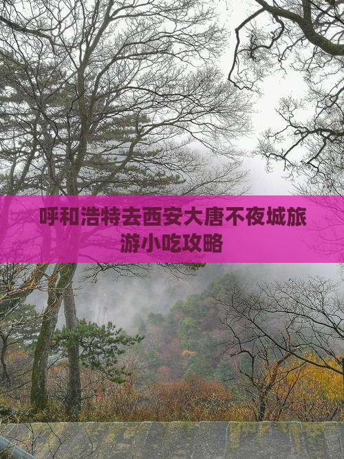 呼和浩特去西安大唐不夜城旅游小吃