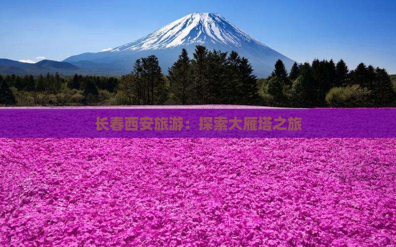 长春去西安大雁塔旅行社