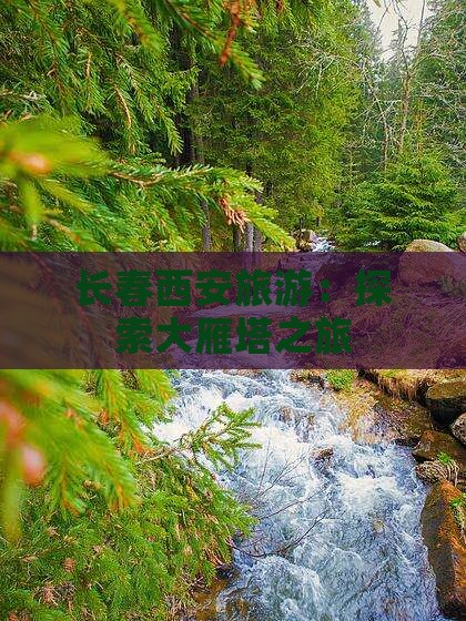 长春去西安大雁塔旅行社