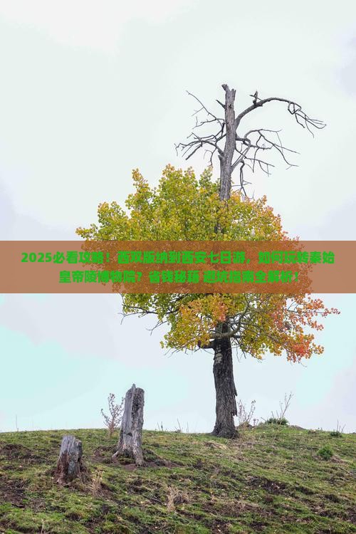 西双版纳到西安秦始皇帝陵博物院七日游