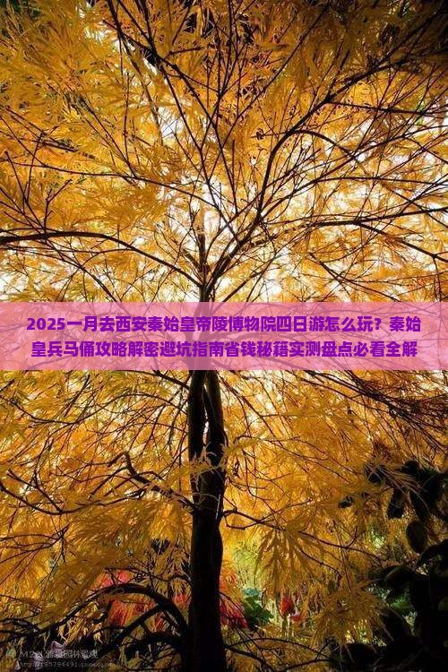 一月到西安秦始皇帝陵博物院四日游