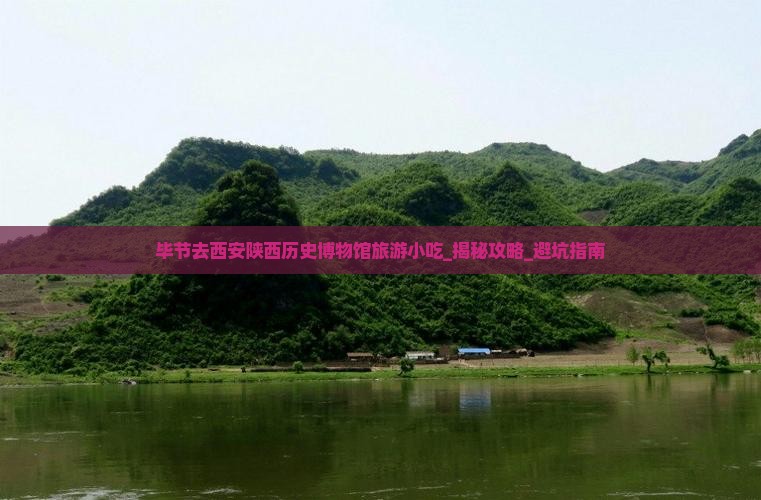 毕节去西安陕西历史博物馆旅游小吃