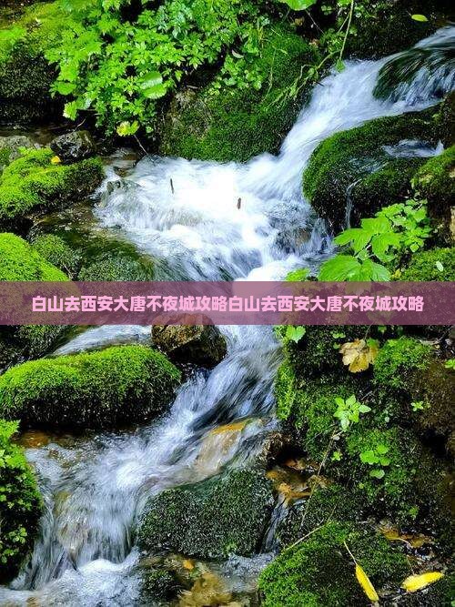 白山去西安大唐不夜城攻略