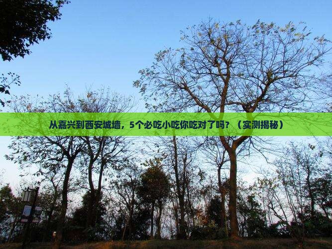 嘉兴去西安城墙旅游小吃