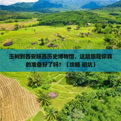 玉树到西安陕西历史博物馆旅行社