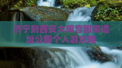 济宁到西安大明宫国家遗址公园个人游
