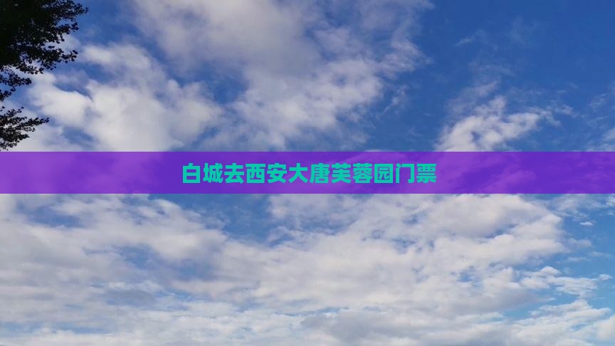 白城去西安大唐芙蓉园门票