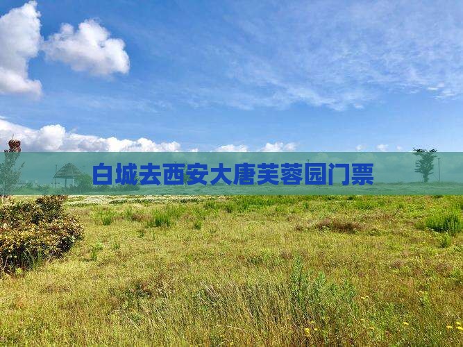 白城去西安大唐芙蓉园门票