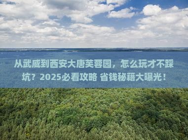 武威到西安大唐芙蓉园哪里玩
