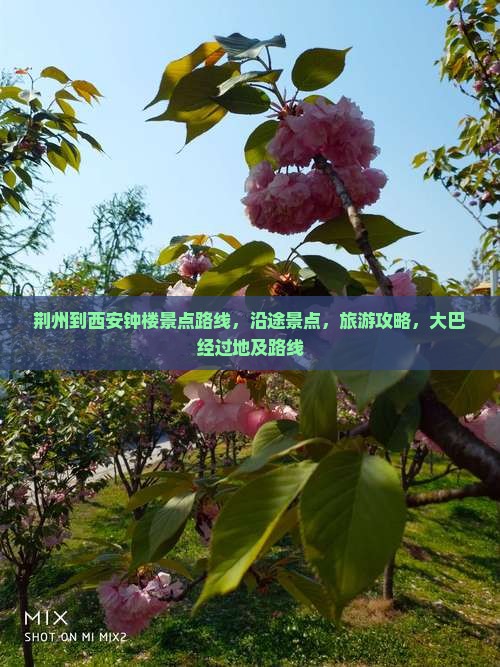 荆州到西安钟楼景点