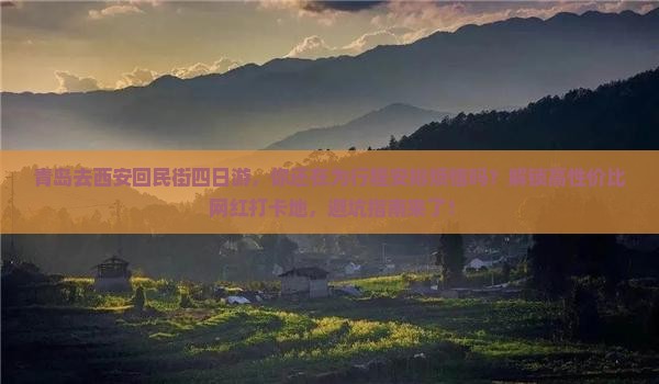 青岛去西安回民街四日游