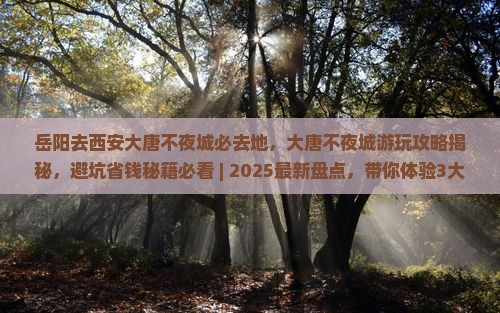 岳阳去西安大唐不夜城必去地