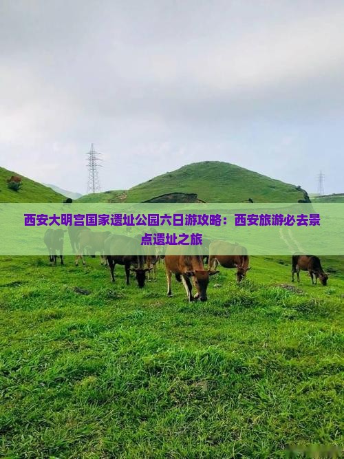 阿拉尔去西安大明宫国家遗址公园六日游
