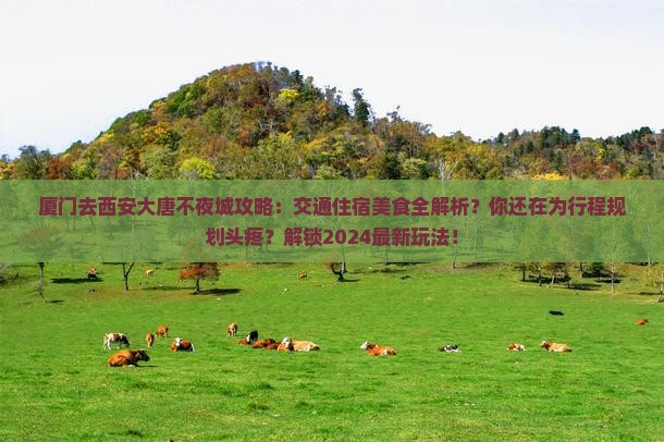厦门去西安大唐不夜城攻略