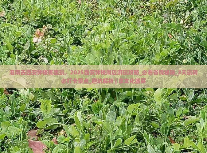 淮南去西安钟楼哪里玩