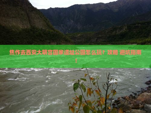 焦作去西安大明宫国家遗址公园景点