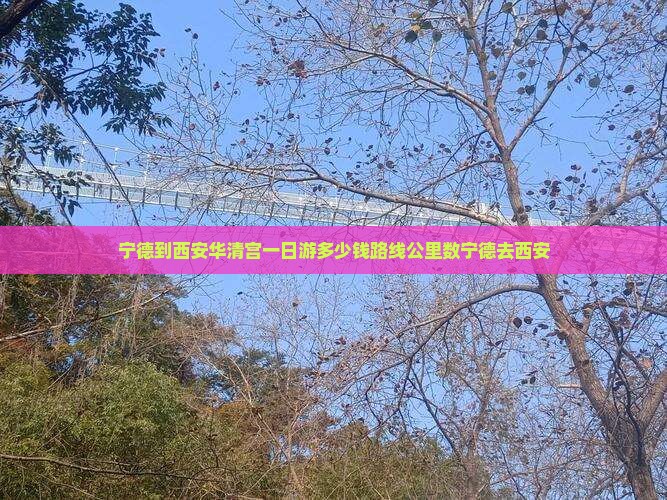 宁德到西安华清宫一日游