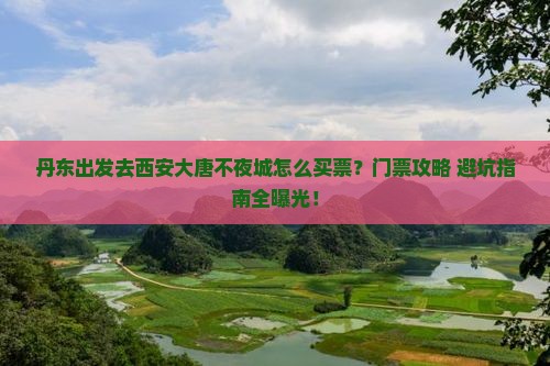 丹东到西安大唐不夜城门票