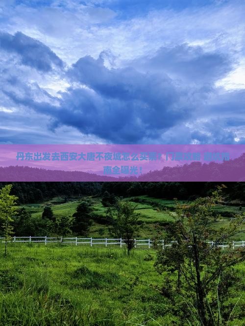 丹东到西安大唐不夜城门票
