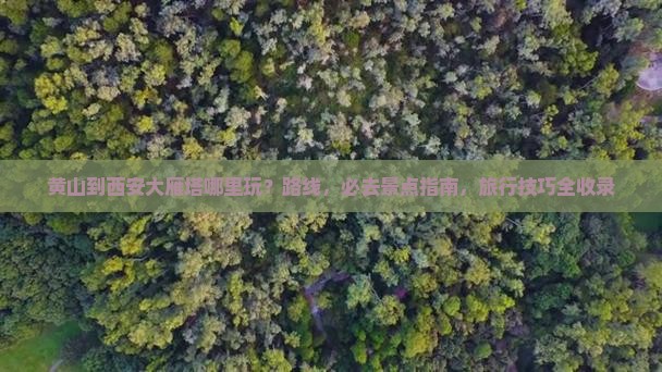 黄山到西安大雁塔哪里玩