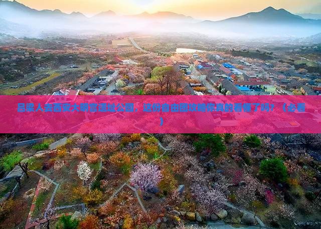 吕梁去西安大明宫国家遗址公园自由团