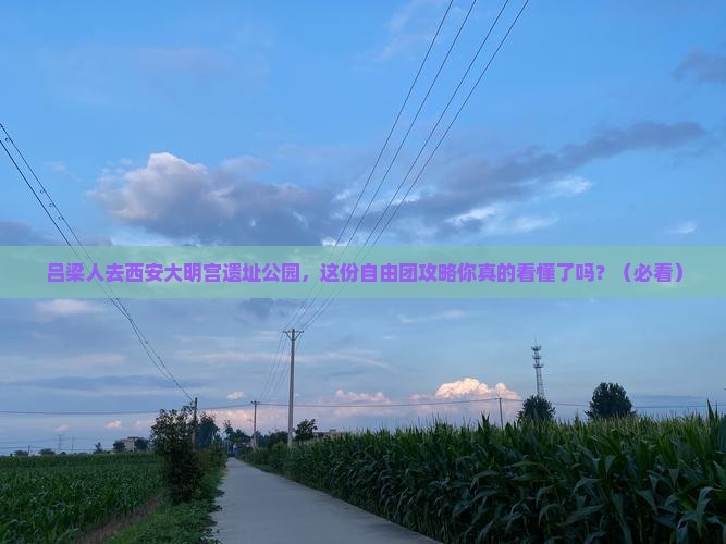 吕梁去西安大明宫国家遗址公园自由团