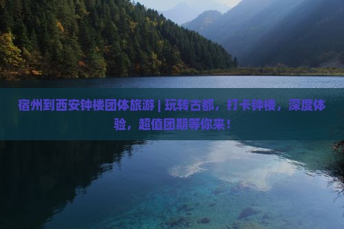 宿州到西安钟楼团体旅游