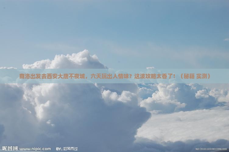 商洛到西安大唐不夜城六日游