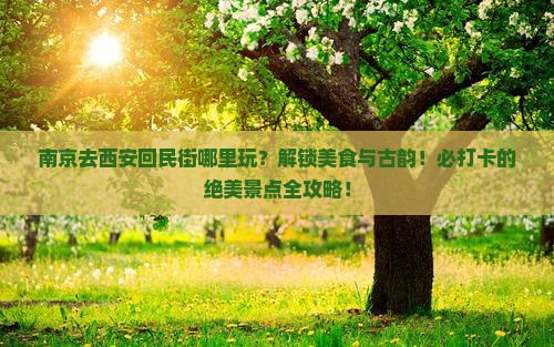 南京去西安回民街哪里玩