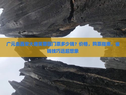 广元去西安大唐芙蓉园门票