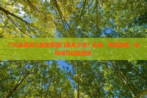 广元去西安大唐芙蓉园门票