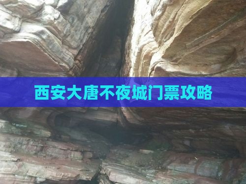 海北去西安大唐不夜城门票