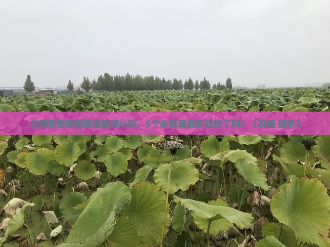 兰州到西安回民街旅游小吃