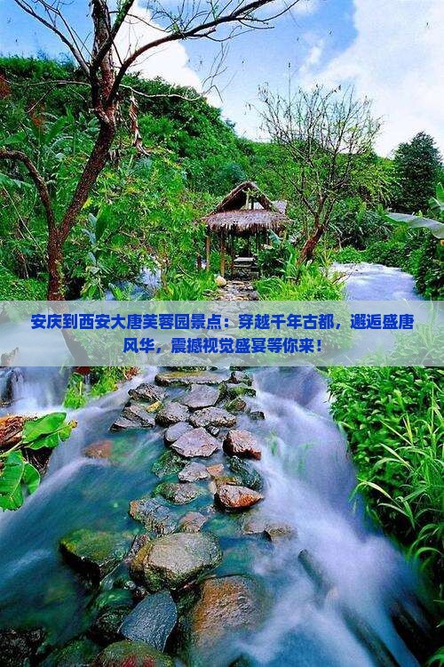 安庆到西安大唐芙蓉园景点