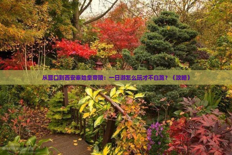 营口到西安秦始皇帝陵博物院一日游
