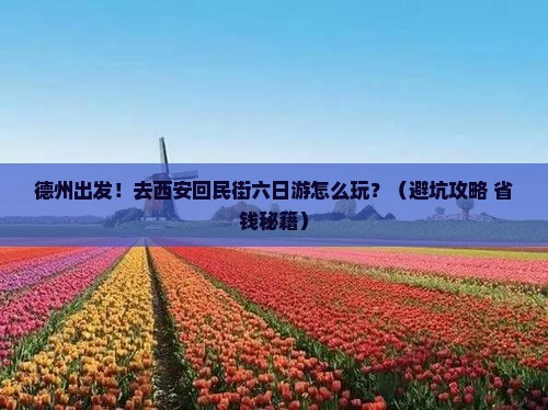 德州去西安回民街六日游